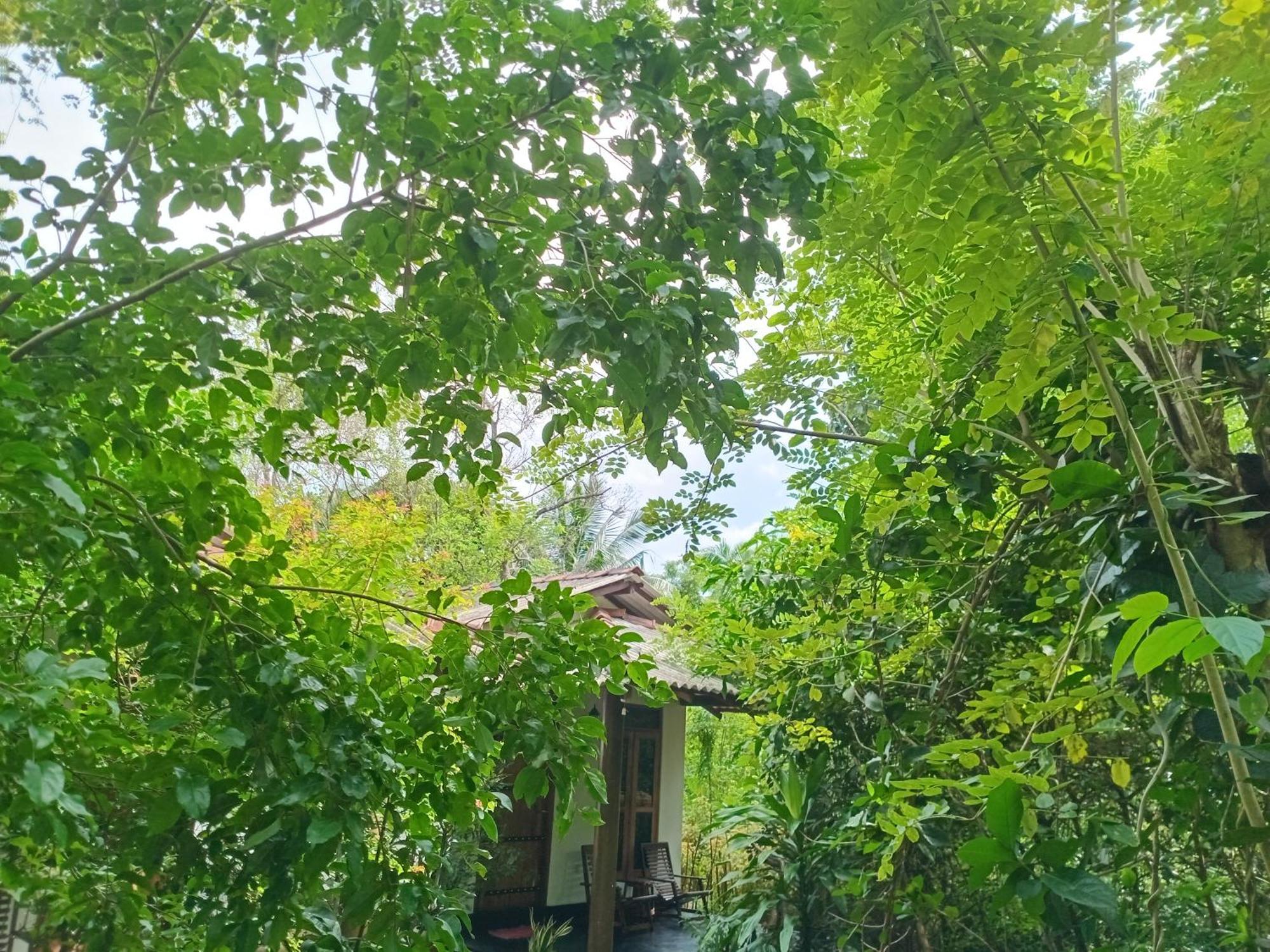 Sunbird'S Home Udawalawe Exterior photo